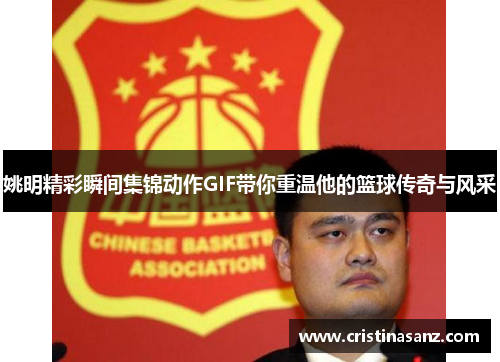 姚明精彩瞬间集锦动作GIF带你重温他的篮球传奇与风采