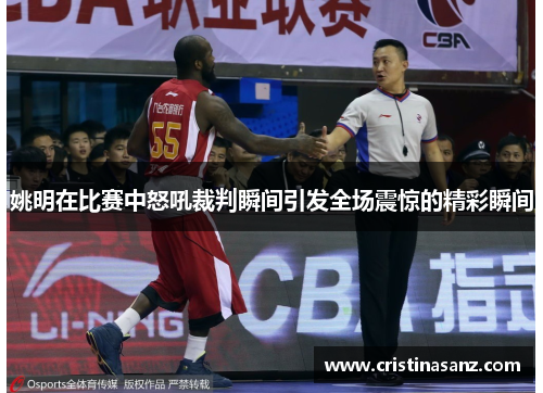 姚明在比赛中怒吼裁判瞬间引发全场震惊的精彩瞬间